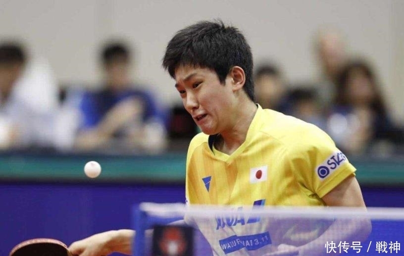 这也导致了 这也导致了